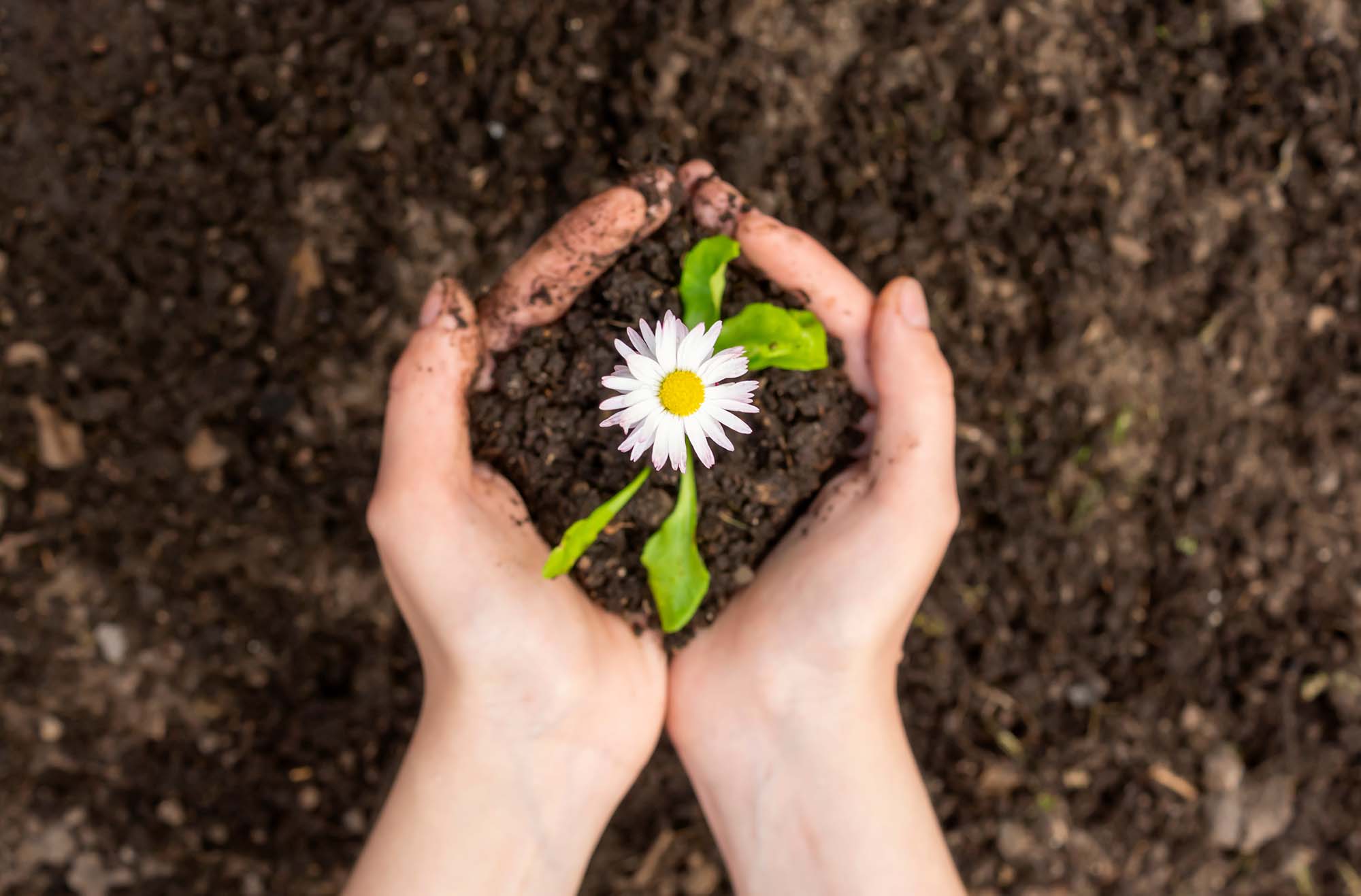 Frau hält Erde mit Blume in der Hand