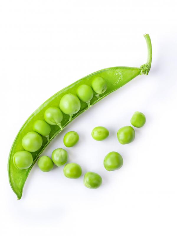 Erbsen 