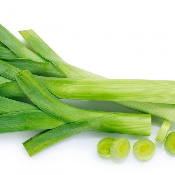 Lauch 